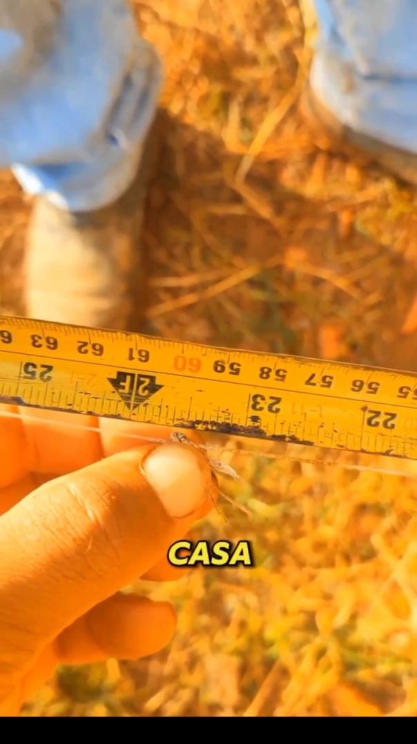 ⁣Como medir o esquadro de forma correta