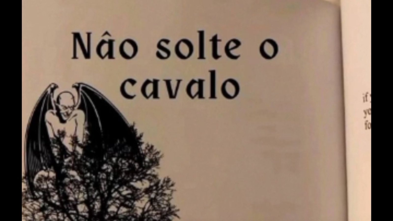 Não Solte o cavalo