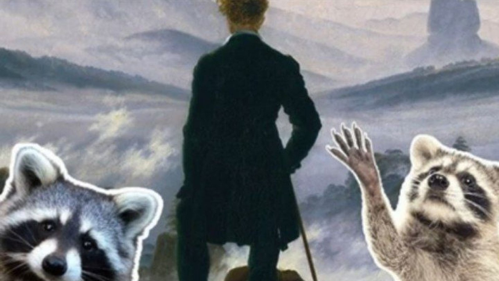 Livro do racoon